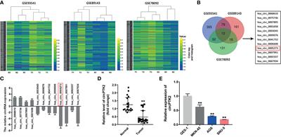 CircPTK2 Suppresses the Progression of Gastric Cancer by Targeting the MiR-196a-3p/AATK Axis